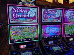qq77bet Inside Our Teen Patti Flash Tables
